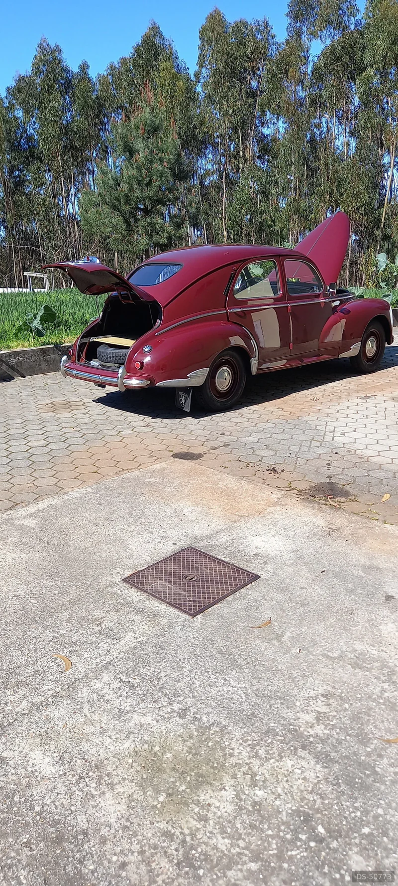 1951 Peugeot 203 in Rebordêlo Canêdo S.m.feira 2