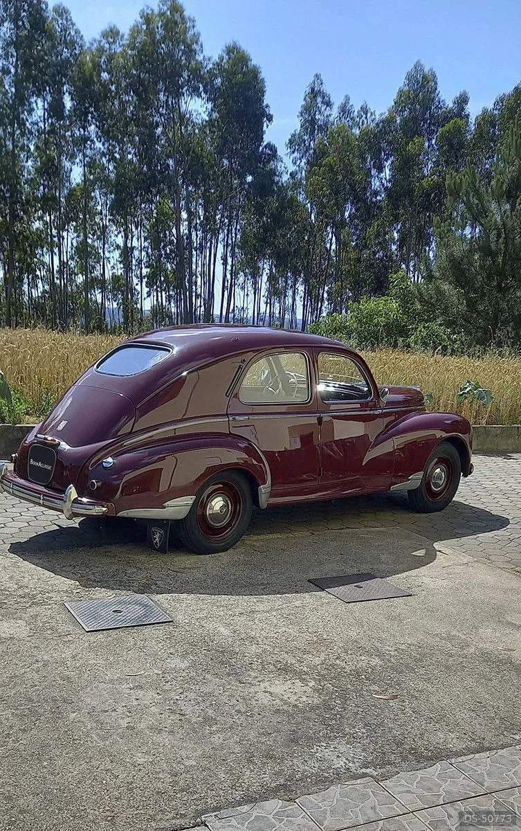 1951 Peugeot 203 in Rebordêlo Canêdo S.m.feira 3