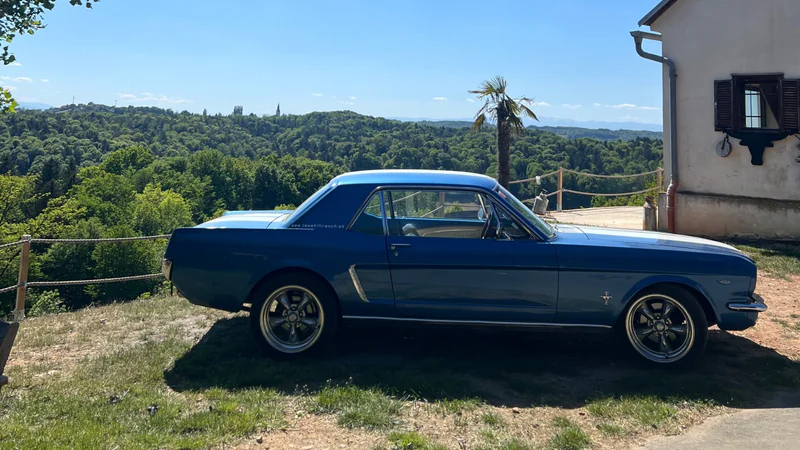 1965 Ford Mustang in Jagerberg 12