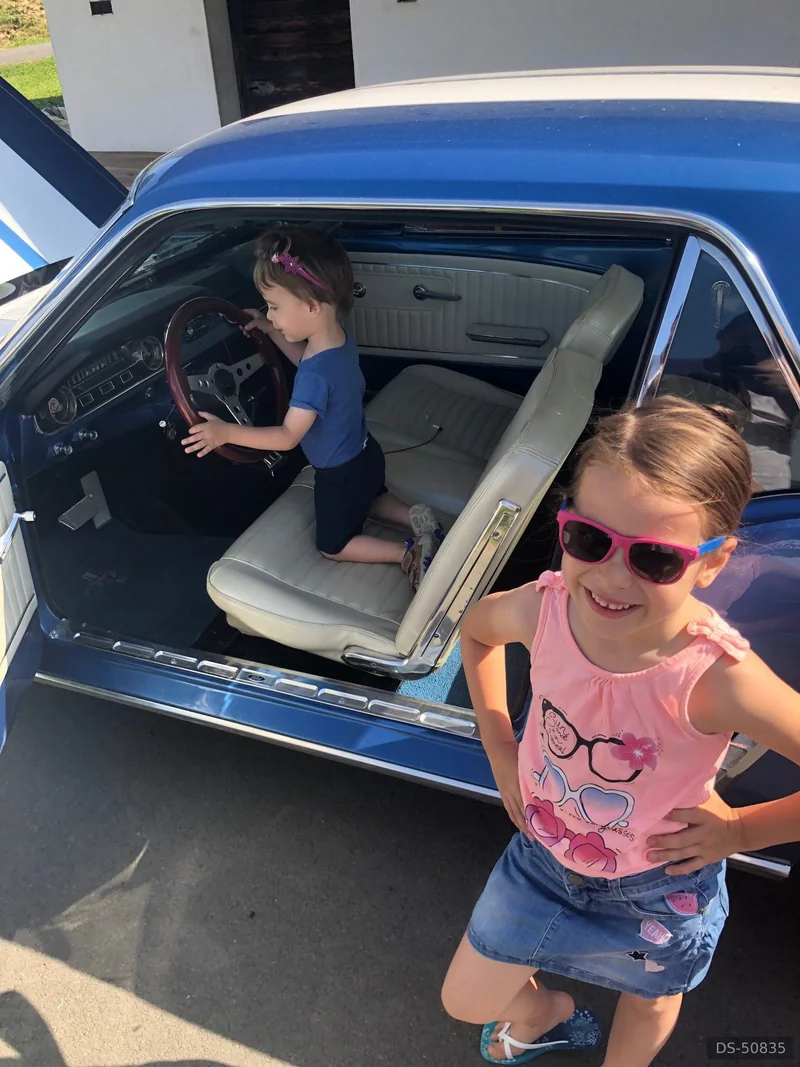 1965 Ford Mustang in Jagerberg 7