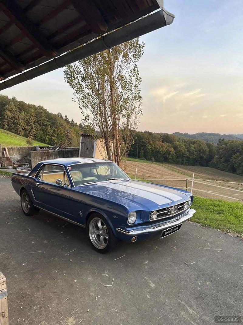 1965 Ford Mustang in Jagerberg 5