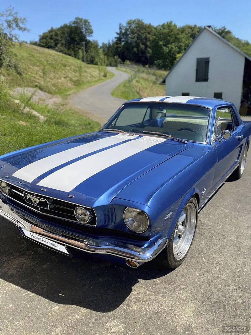 1965 Ford Mustang in Jagerberg 2