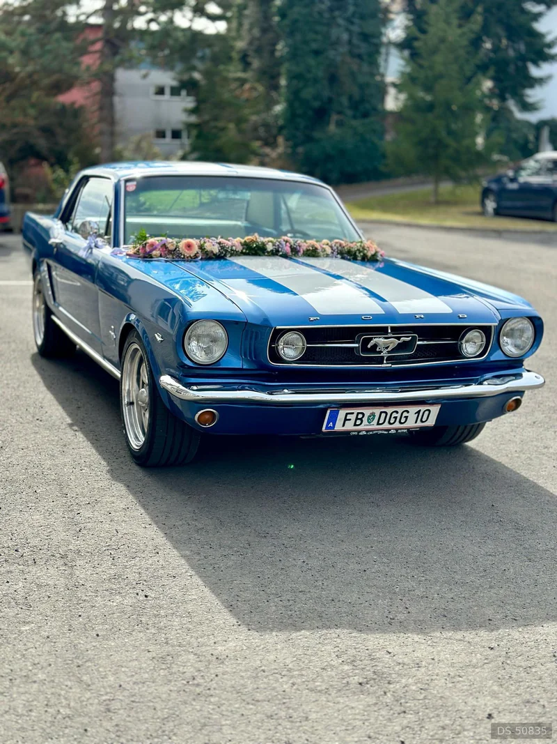 1965 Ford Mustang in Jagerberg 9