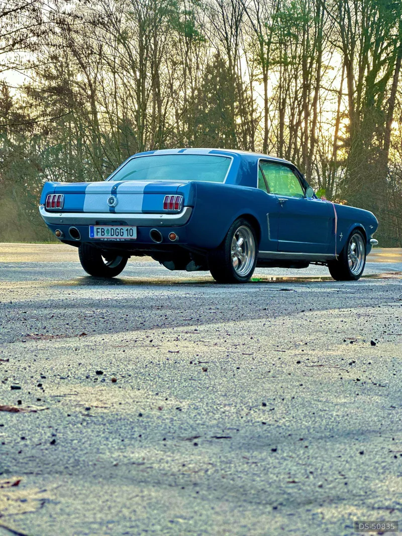 1965 Ford Mustang in Jagerberg 10