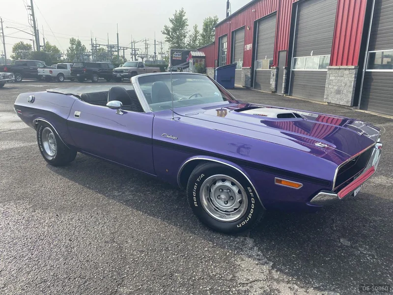 1970 Dodge Challenger in Ottawa