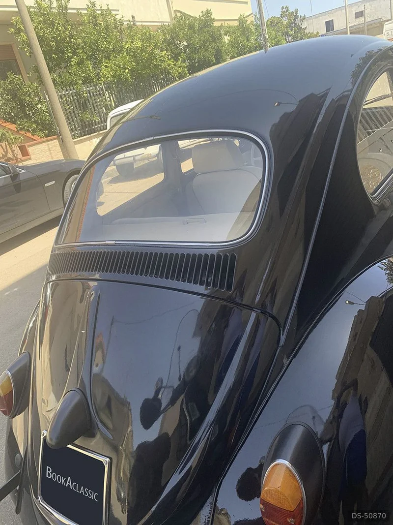 1966 Volkswagen Maggiolino in Sava 13