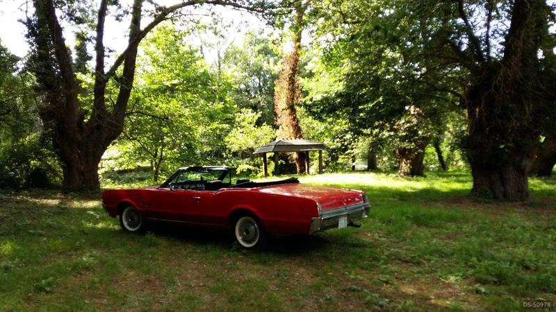 1967 Oldsmobile Cutlass Convertible in Sarria 2