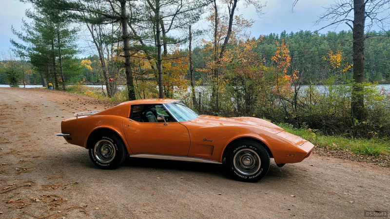 1973 Chevrolet Corvette in Toronto 4
