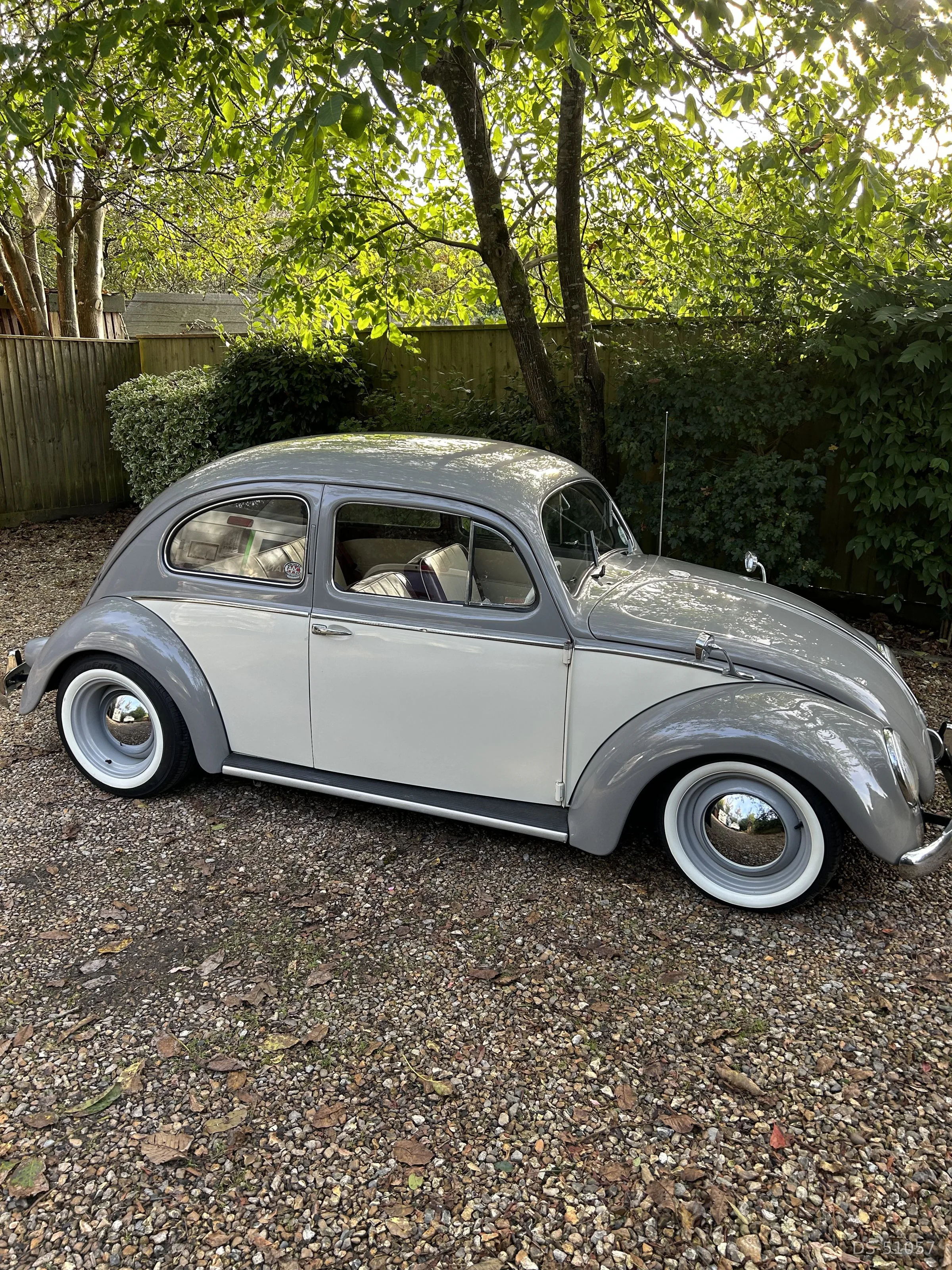 1956 Volkswagen Beetle Oval 1956