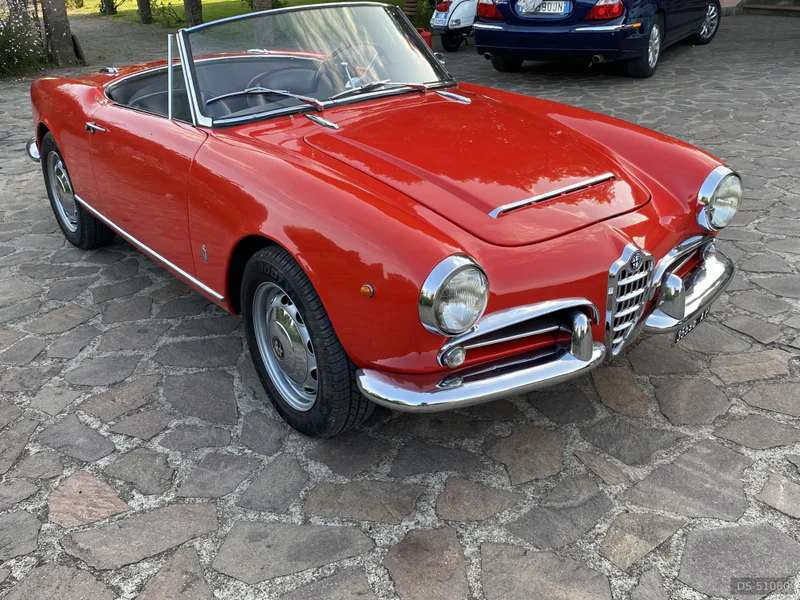 1963 Alfa Romeo Giulia Spider in Roma 4