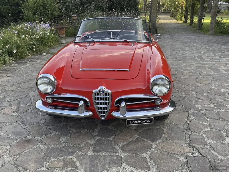 1963 Alfa Romeo Giulia Spider in Roma 2