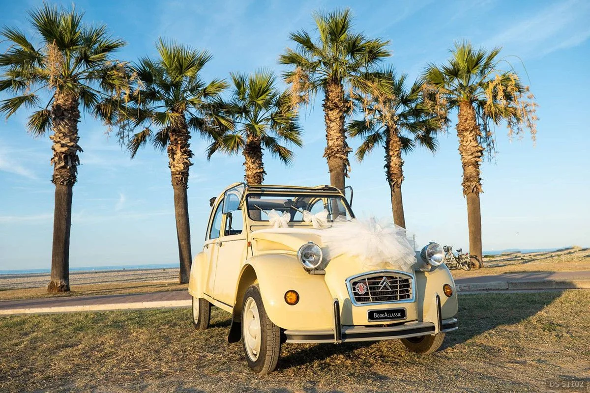 1978 Citroen 2cv