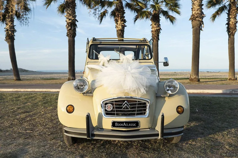 1978 Citroen 2cv in Sant'elpidio A Mare 3