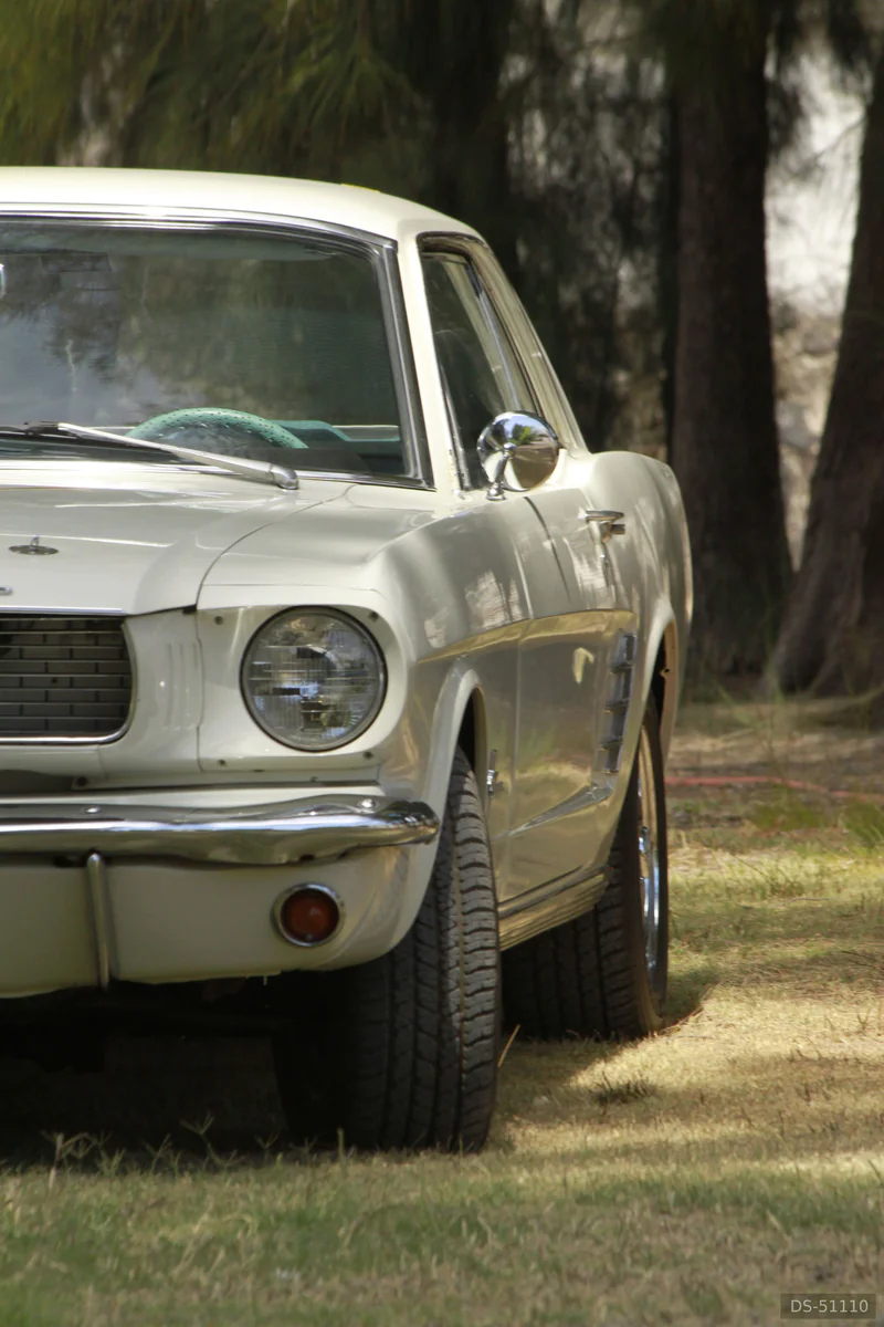 1966 Ford Mustang in Queretaro 2
