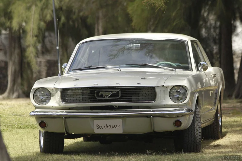 1966 Ford Mustang in Queretaro 4