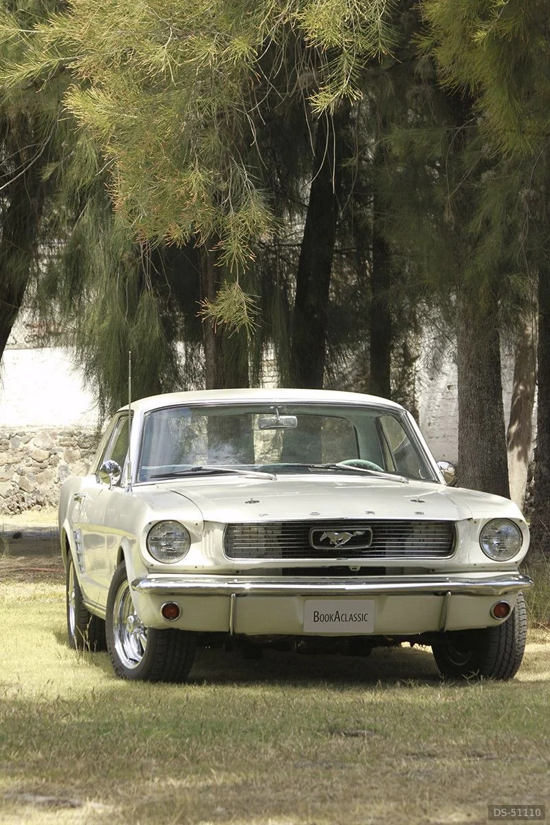 1966 Ford Mustang in Queretaro 3