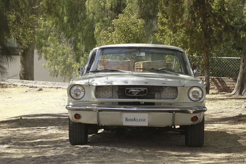 1966 Ford Mustang in Queretaro 6