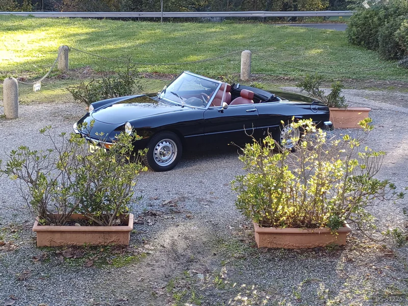 1971 Alfa Romeo Duetto Coda Tronca in Seregno