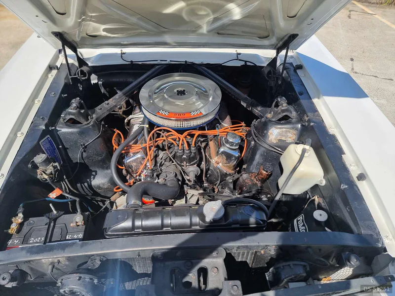 1965 Ford Mustang in Cedar Grove (qld) 2