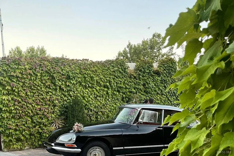 1955 Citroen Ds in Guadalajara 5