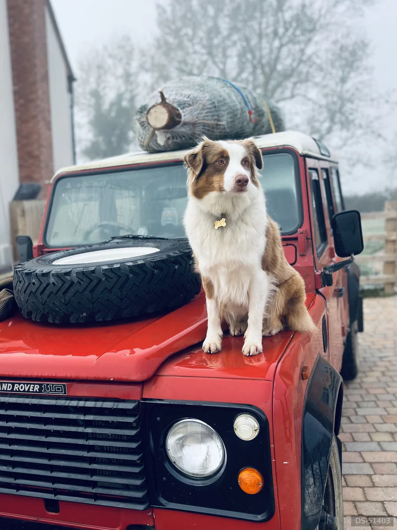 1989 Land Rover 110 Defender in Leicester 3