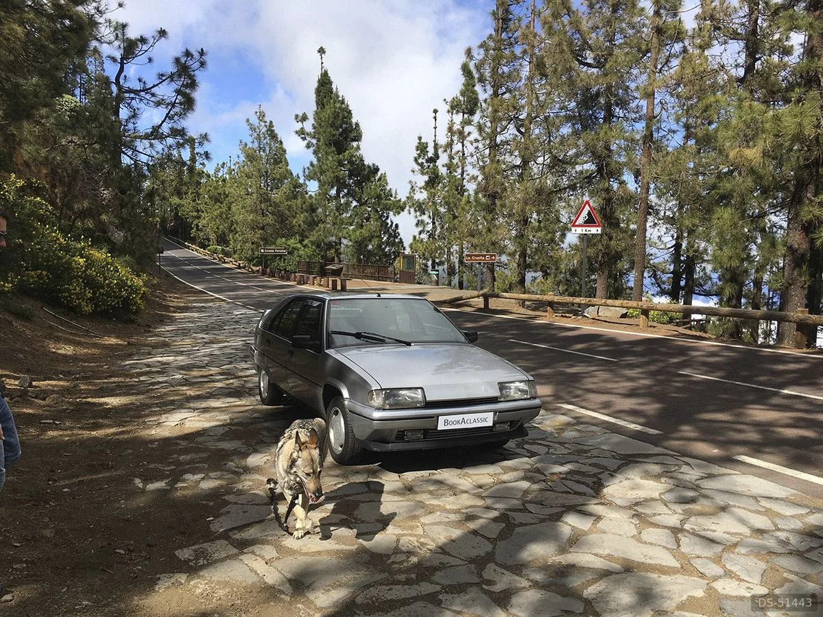 1993 Citroen Bx