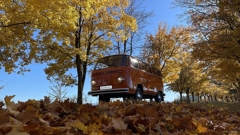 1976 Volkswagen T2 in Hozelec 8