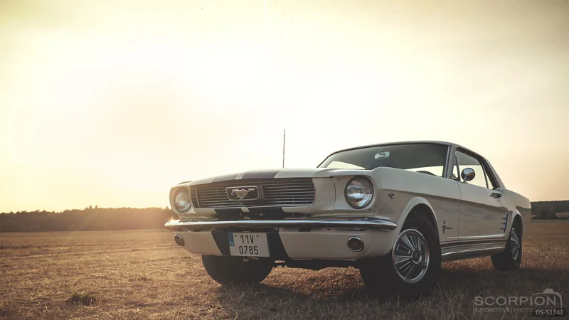 1966 Ford Mustang in Olomouc 1