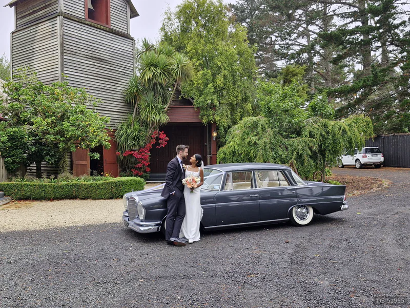 1962 Mercedes-Benz 220s in Auckland 3