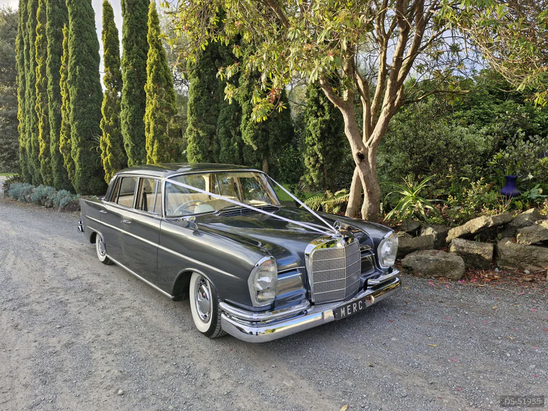 1962 Mercedes-Benz 220s in Auckland 4