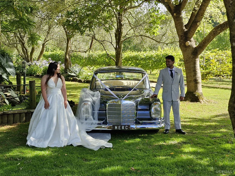 1962 Mercedes-Benz 220s in Auckland 8