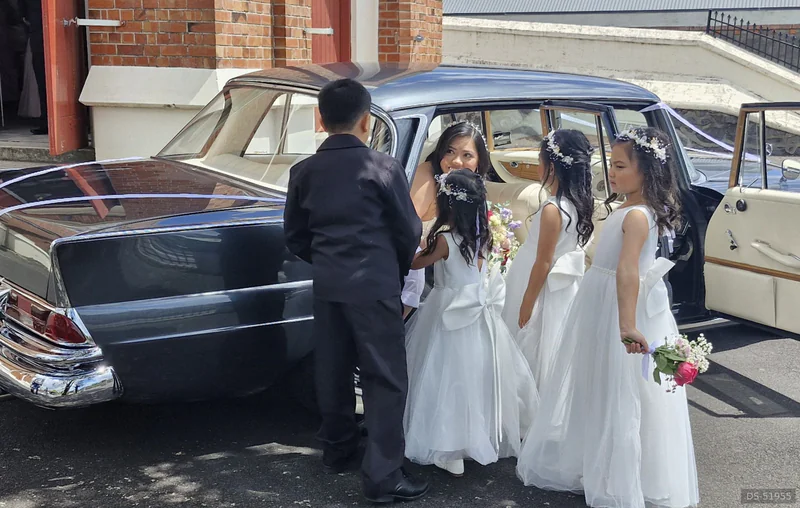 1962 Mercedes-Benz 220s in Auckland 10