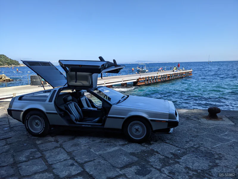 1982 DeLorean Dmc-12 in Felonica 6