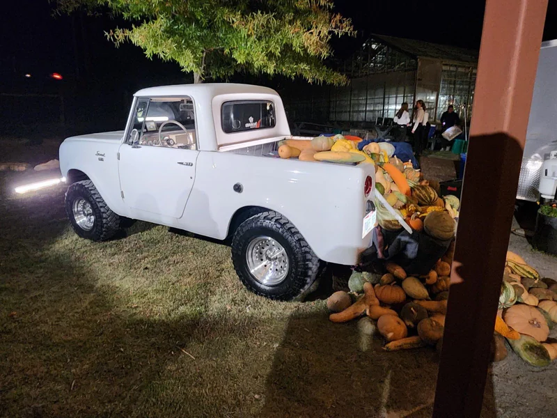 1966 International Scout 18