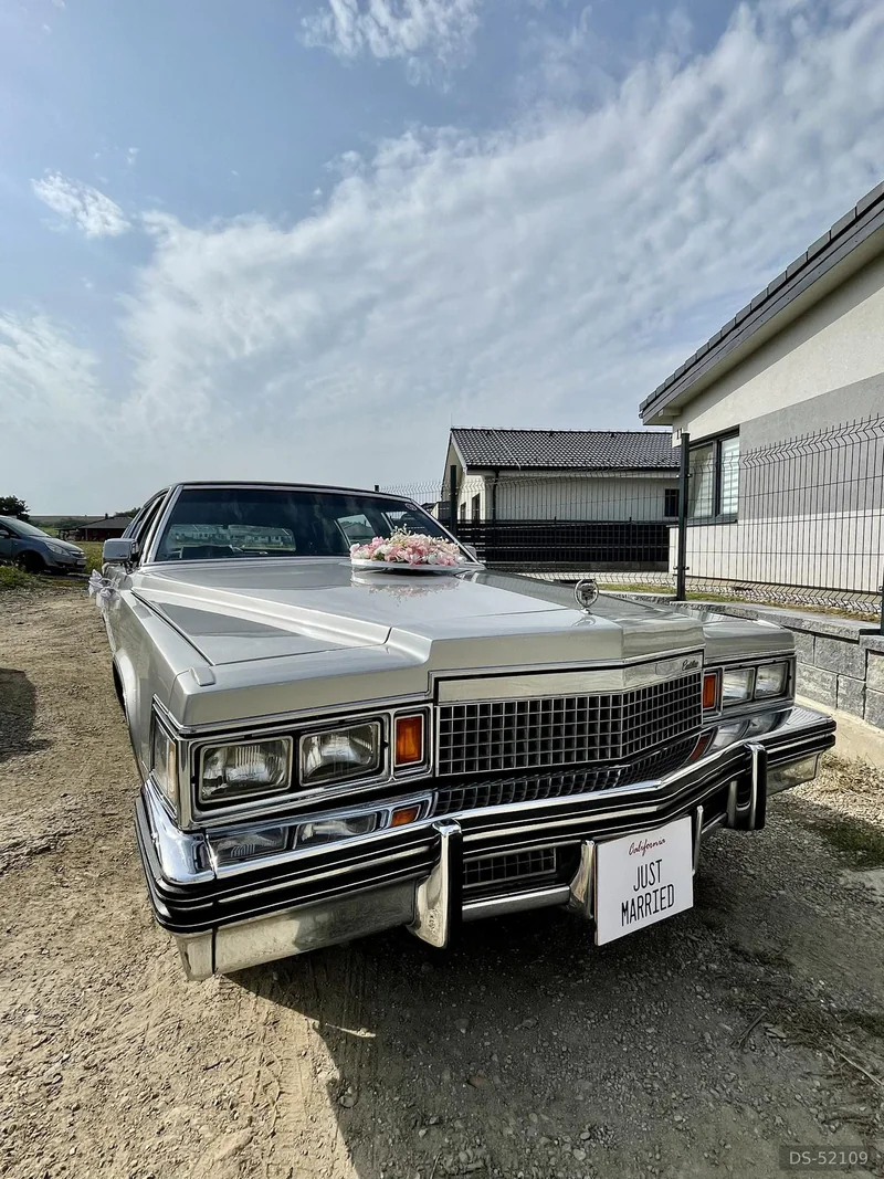 1979 Cadillac Fleetwood Limousine in Košice 6