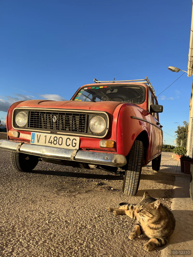 1987 Renault 4l in Alfondeguilla 9