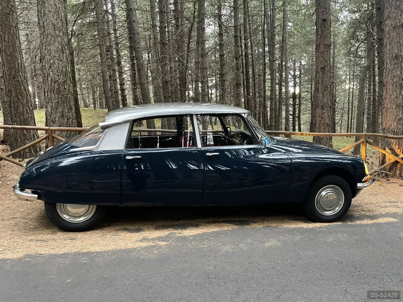 1967 Citroen Pallas Ds in Lariano 4
