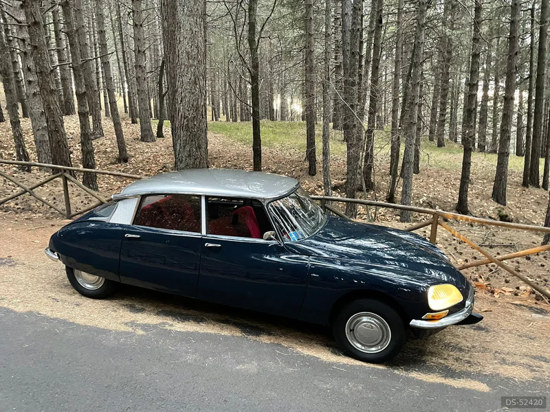 1967 Citroen Pallas Ds in Lariano 8