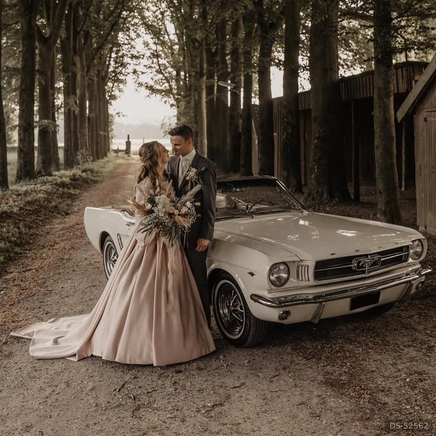 1966 Ford Mustang Cabrio Roomwit