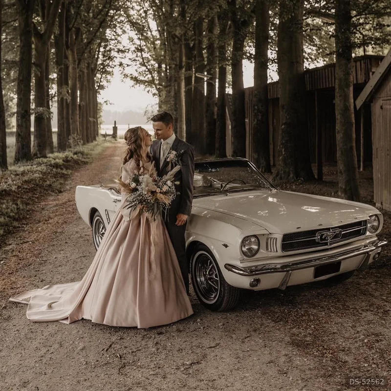 1966 Ford Mustang Cabrio Roomwit