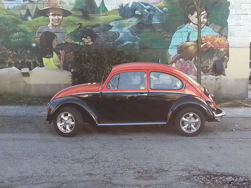 1972 Volkswagen Beetle in Vancouver 2