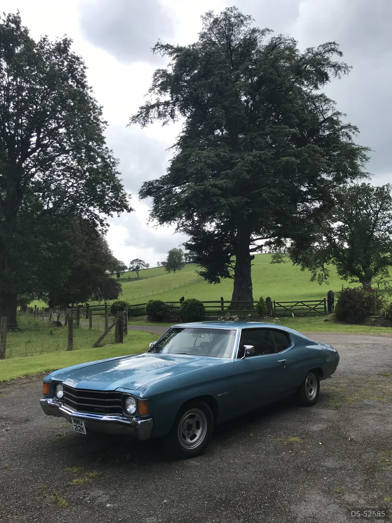 1972 Chevrolet Chevelle Malibu in Lampeter 3