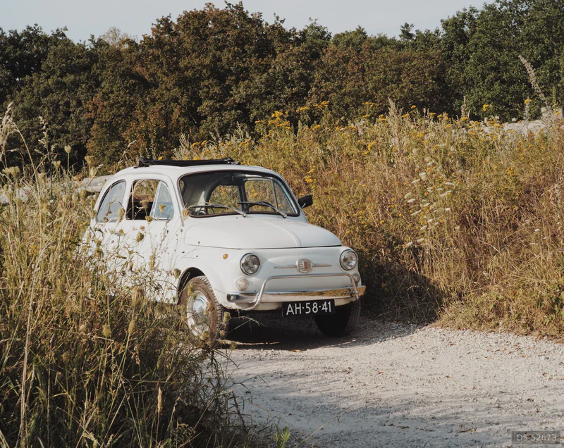 1971 Fiat 500