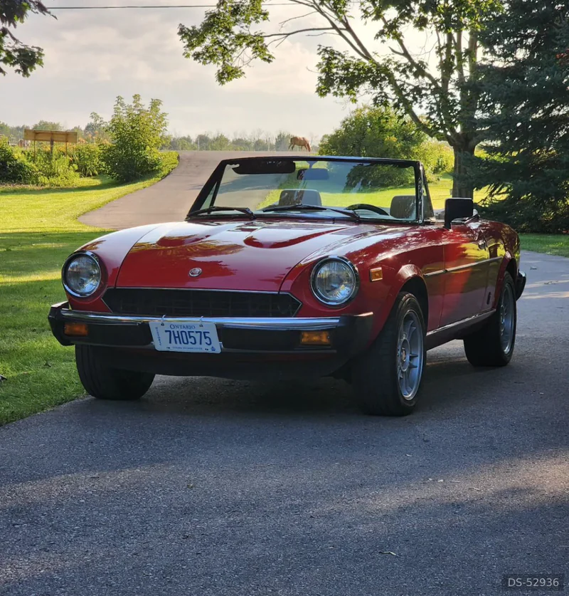 1981 Fiat 124 Spider in Toronto 5