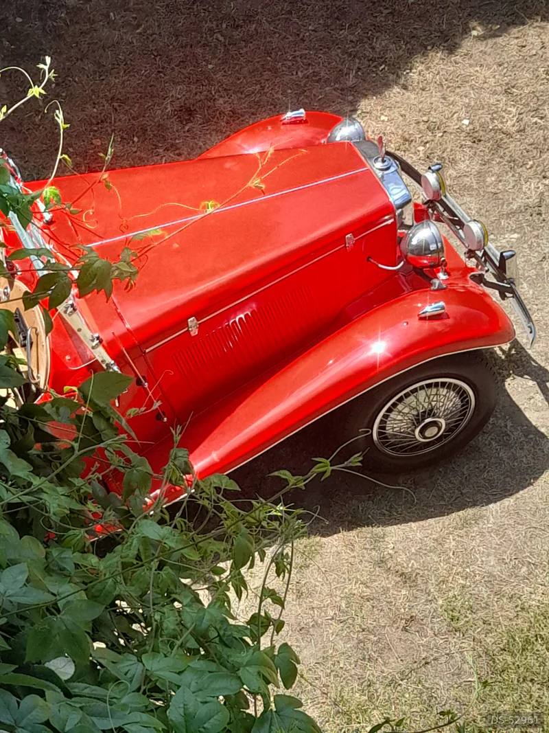 1953 MG Mg Td Duchess in Aveiro 3