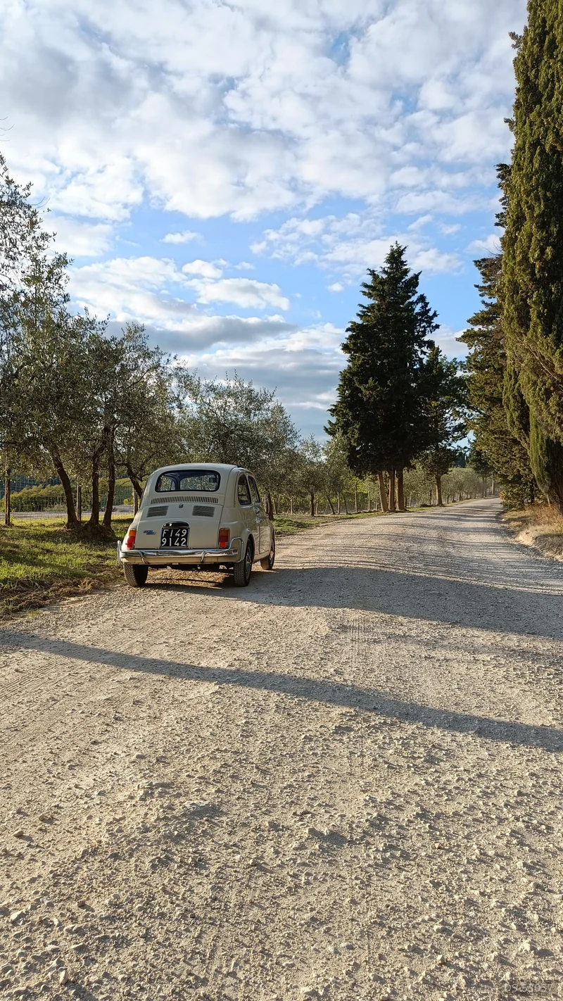 1969 Fiat 500 L in Terranuova Bracciolini 4