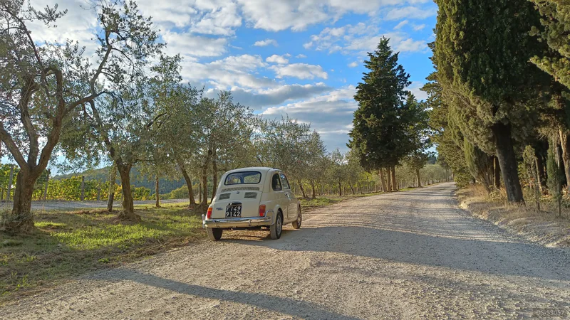 1969 Fiat 500 L in Terranuova Bracciolini 5