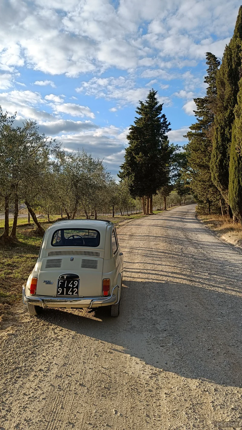 1969 Fiat 500 L in Terranuova Bracciolini 7