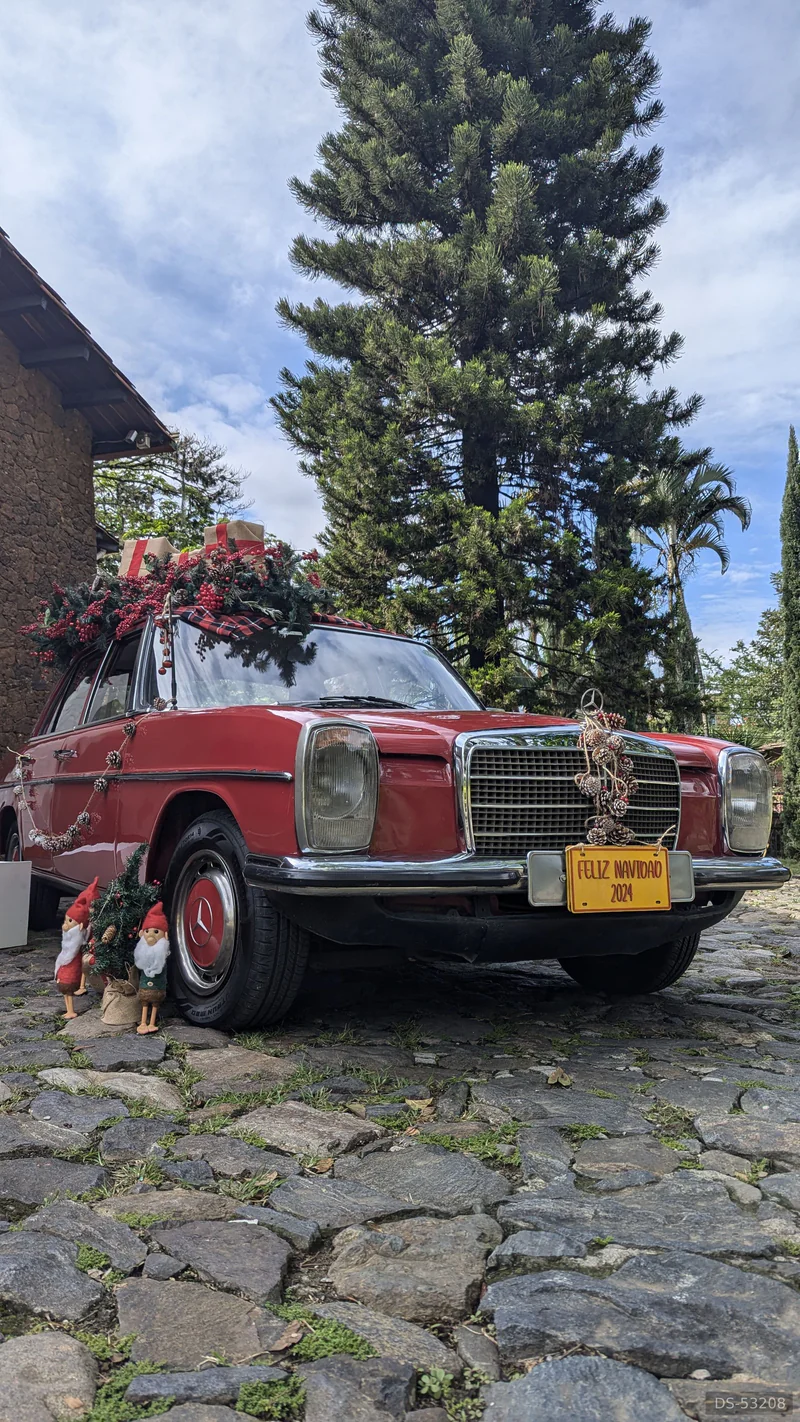 1974 Mercedes-Benz 250 in Medellín 5