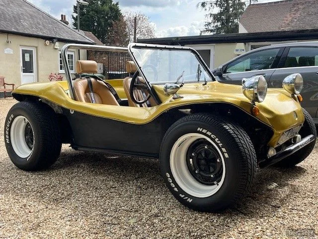 1972 Volkswagen Buggy in Fleet 7